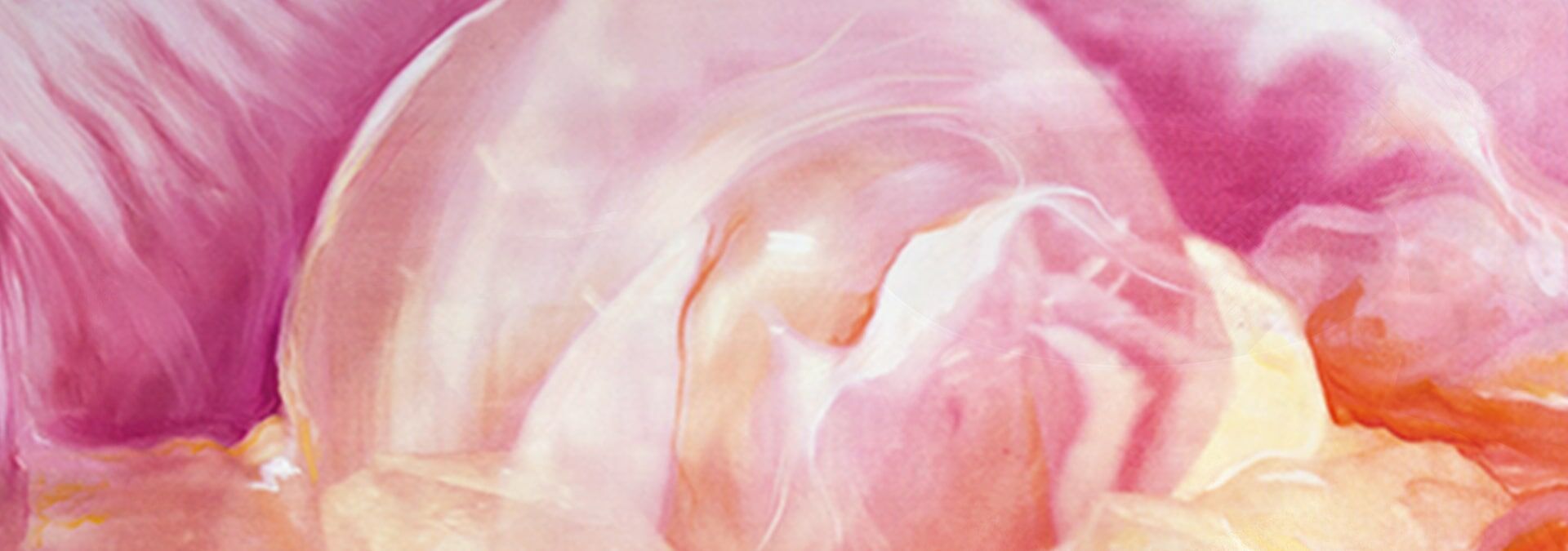 Bild in den Farben rosa, pink, weiß und etwas orange und gelb