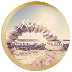 Mirja Lang - online Ausbildung zum Lifecoach & Intuitionscoach - Modul 05: Körperharmonie und Wesen & Heilung von Stress