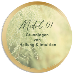 Mirja Lang - online Ausbildung zum Lifecoach & Intuitionscoach - Modul 01: Grundlagen von Heilung und Intuition