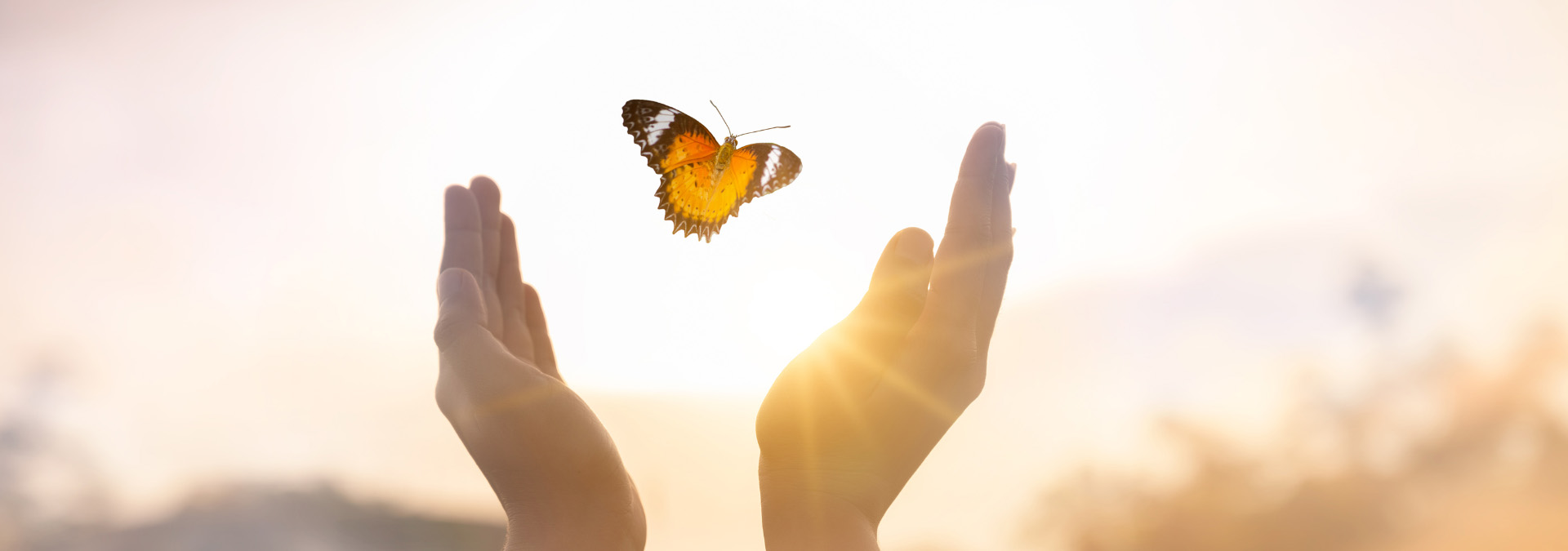 innere Selbstermächtigung, Reise des spirituellen Erwachens, persönliche Transformation